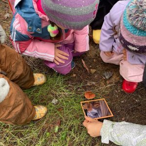 Orman Okulu- Image 2024-08-17 at 15.44.08 (3)-min