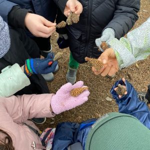 Orman Okulu- Image 2024-08-17 at 15.44.08 (4)-min