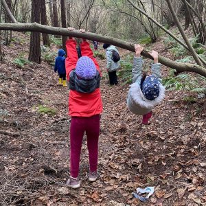 Orman Okulu- Image 2024-08-17 at 15.44.08 (5)-min