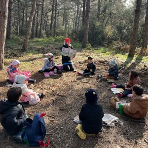 Orman Okulu- Image 2024-08-17 at 15.44.08 (6)-min