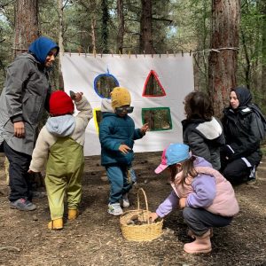 Orman Okulu- Image 2024-08-17 at 15.44.08-min