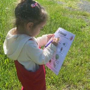 Orman Okulu- Image 2024-08-17 at 15.44.16-min