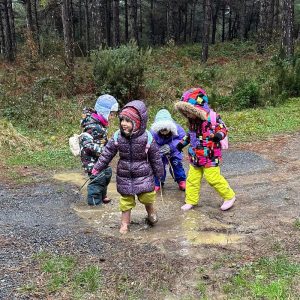 Orman Okulu- Image 2024-08-17 at 15.44.17-min