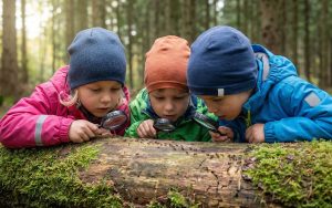 Doğa Temelli Eğitim Orman Okulu Faydaları