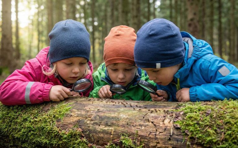 Doğa Temelli Eğitim Orman Okulu Faydaları