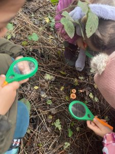 doğa temelli eğitim